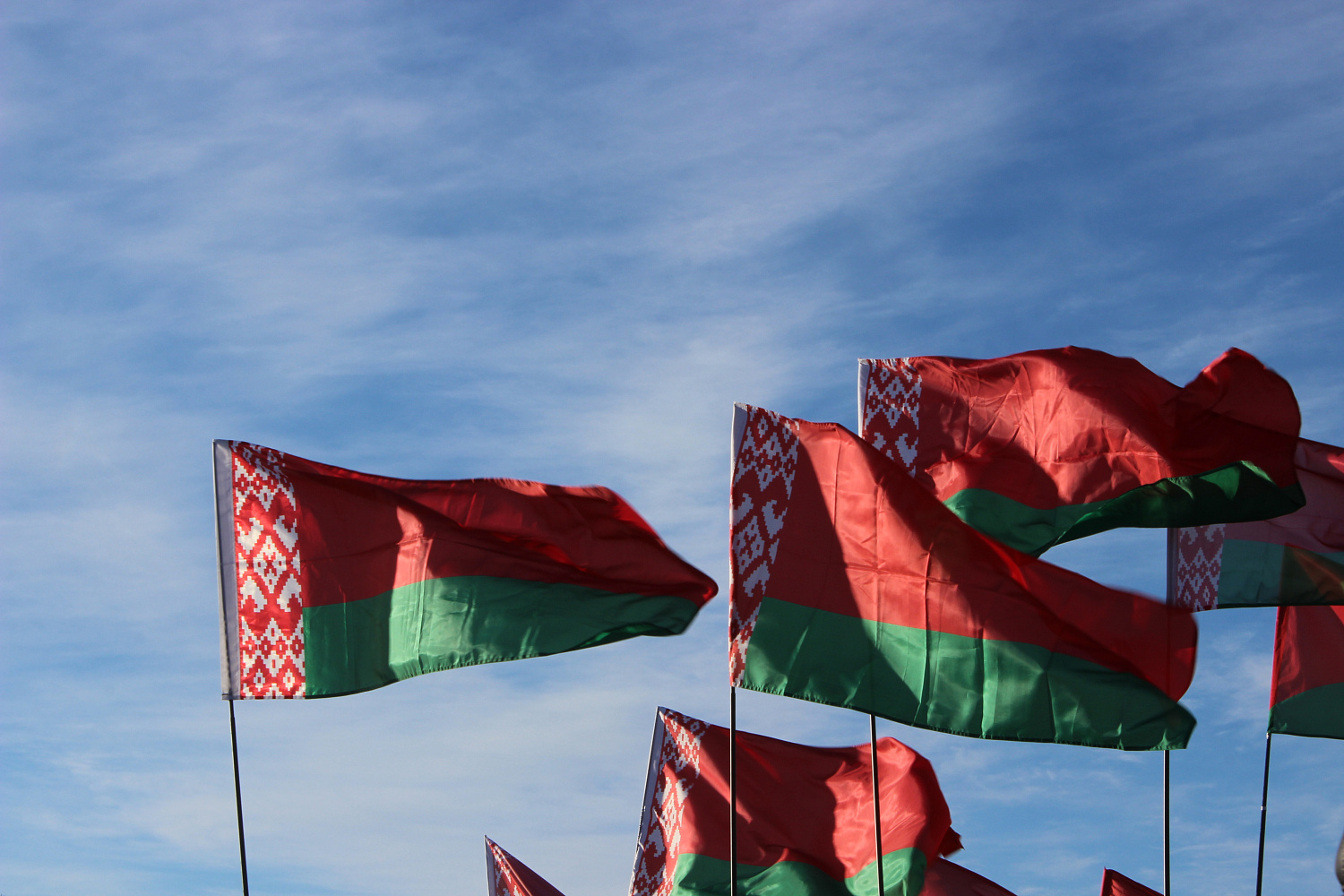 Мітынг да Дня абаронцы Айчыны