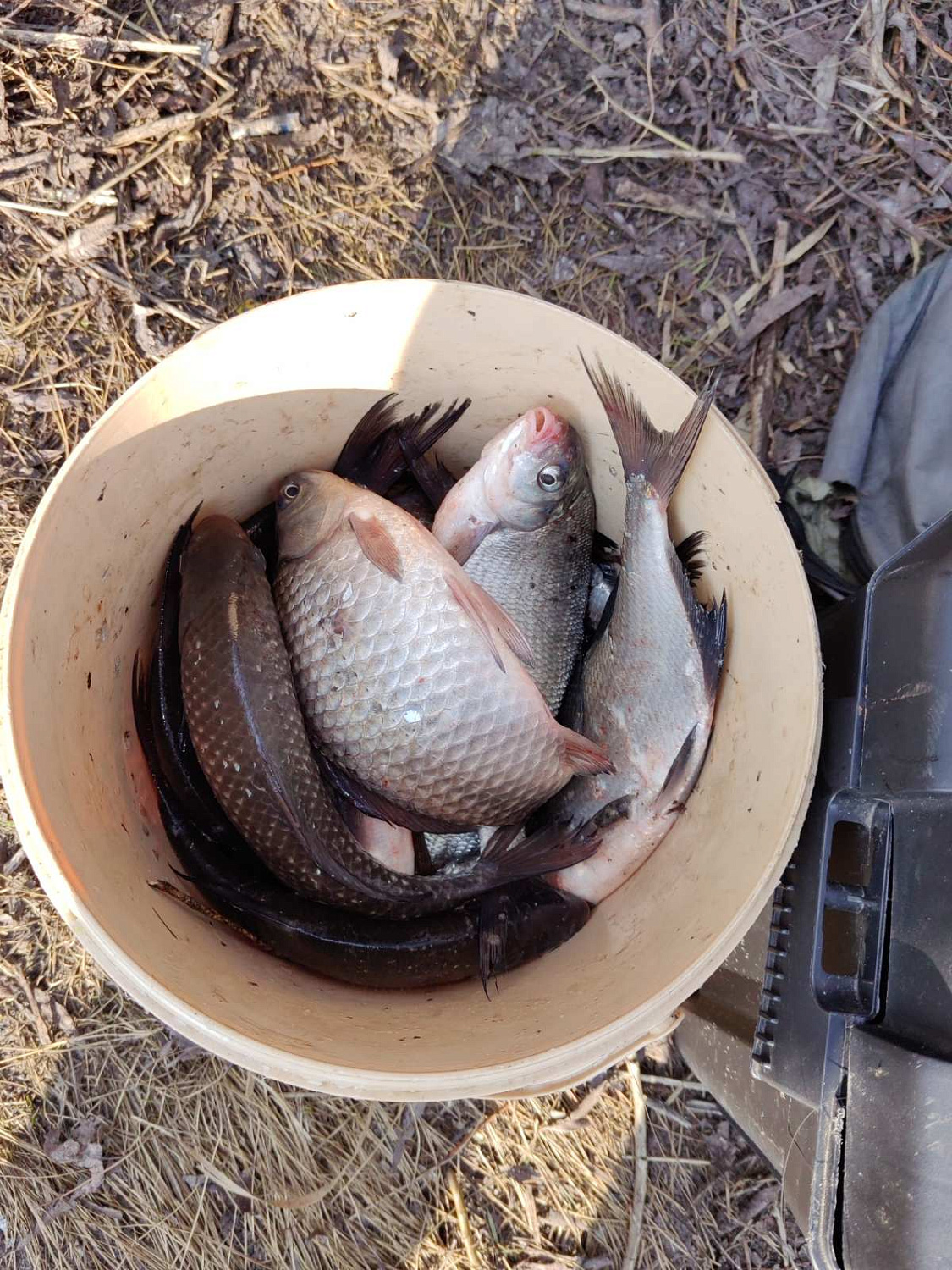 Рыбалоўнае спаборніцтва "На кручку"