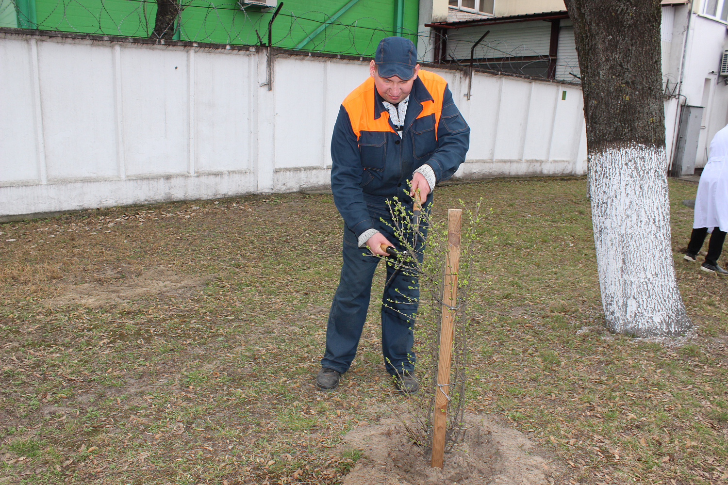 Месячнік па добраўпарадкаванні і ўборцы тэрыторыі
